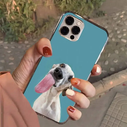 Pug Love: Adorable Frenchie Fun iPhone Case